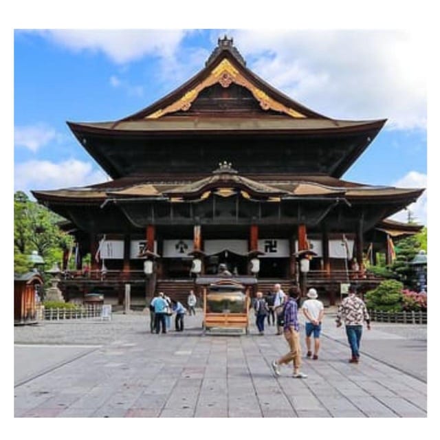From Tokyo/Nagano: Luxury Snow Monkey Private Full-Day Tour - Price, flexibility, and the main tradeoff
