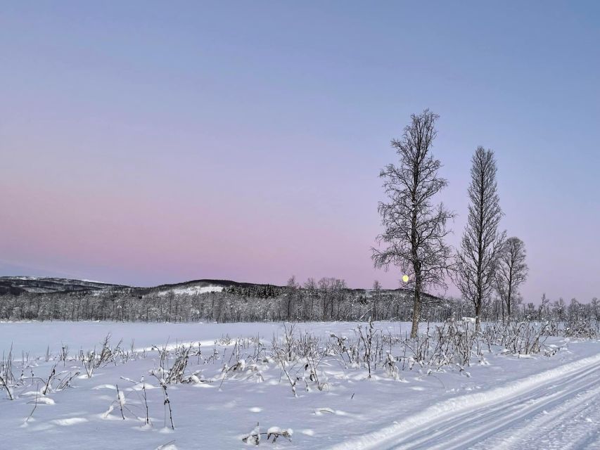 From Tromso: Eco Luxury Snowmobile Adventure to Lyngen Alps - From Tromsø harbor to the Lyngen Alps
