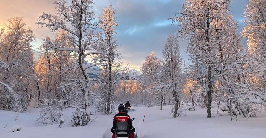 From Tromso: Eco Luxury Snowmobile Adventure to Lyngen Alps - Who should book this experience?