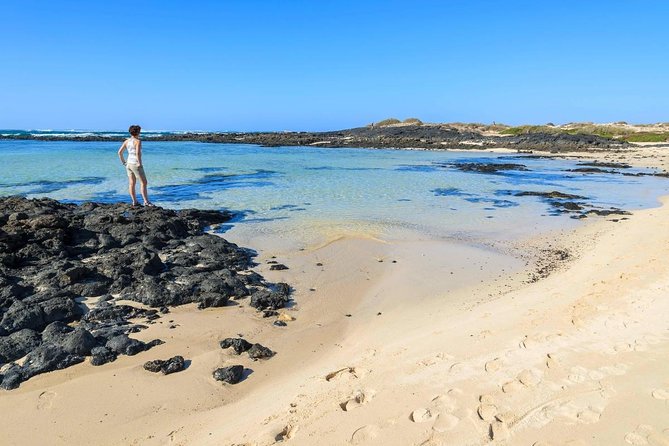 Fuerteventura: DISCOVER FUERTEVENTURA TOUR 7 hours max 8 people - Key points to know before booking