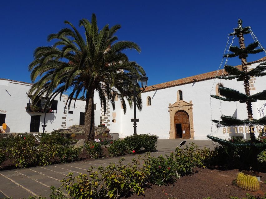 Fuerteventura: Island Highlights Guided VIP Sightseeing Tour - Key points to know before booking