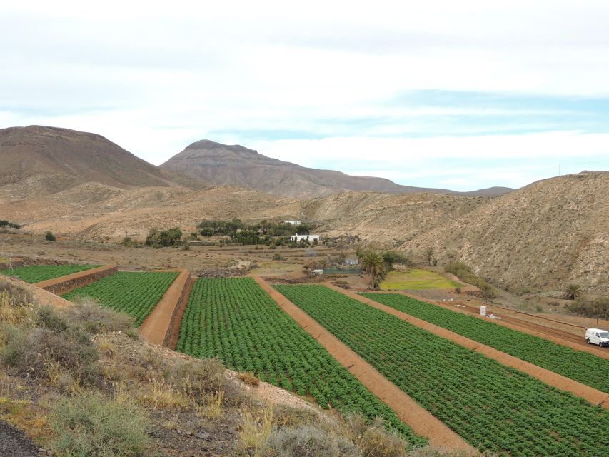 Fuerteventura: Island Highlights Guided VIP Sightseeing Tour - Betancuria gives the day a historic center
