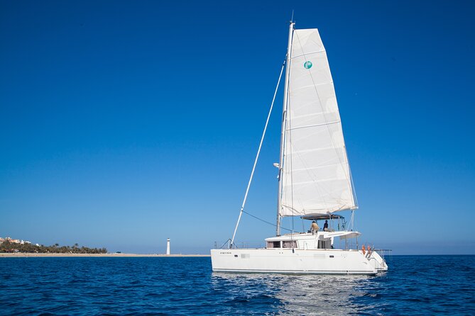 Fuerteventura: Small-Group Magic Deluxe Catamaran Cruise - Practical Details That Make the Day Easier