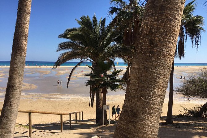 Fuerteventura South Exclusive Tour - Risco de las Peñas and the road toward Betancuria