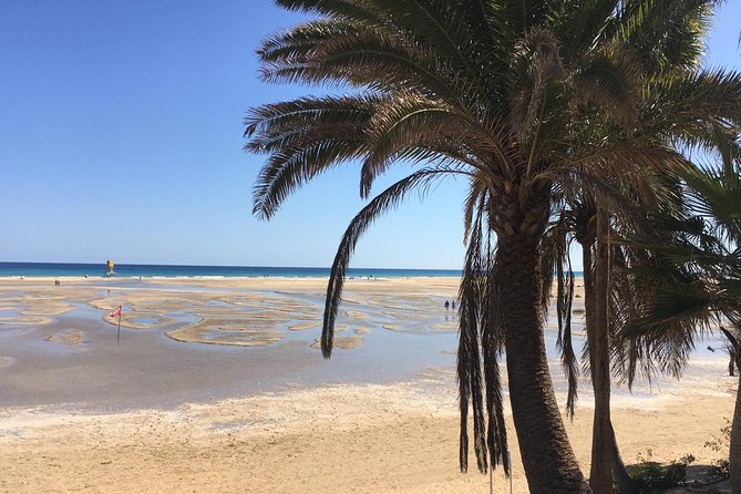 Fuerteventura South Exclusive Tour - Is $81.06 good value?