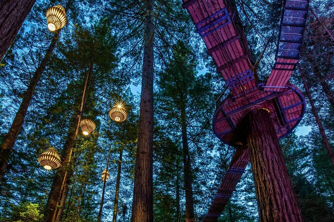 Full Day Customisable Tour with Driver & Luxury Car Unlimited Kms - Māori culture and Rotorua’s living traditions