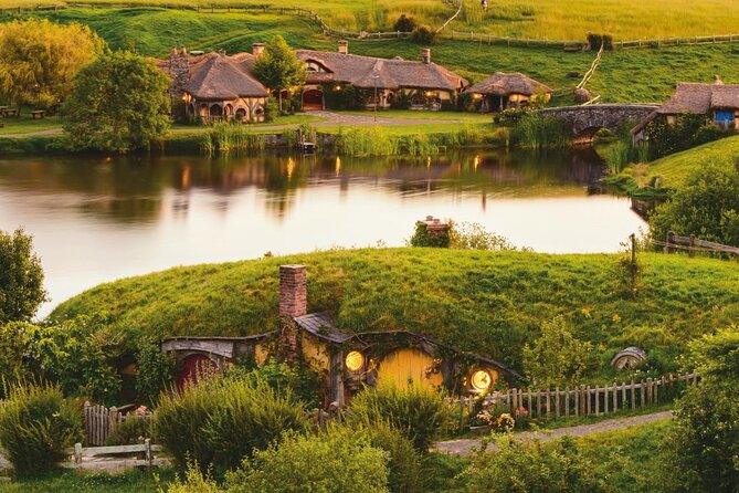 Full Day Customisable Tour with Driver & Luxury Car Unlimited Kms - Auckland and Piha Beach: the easy-going option
