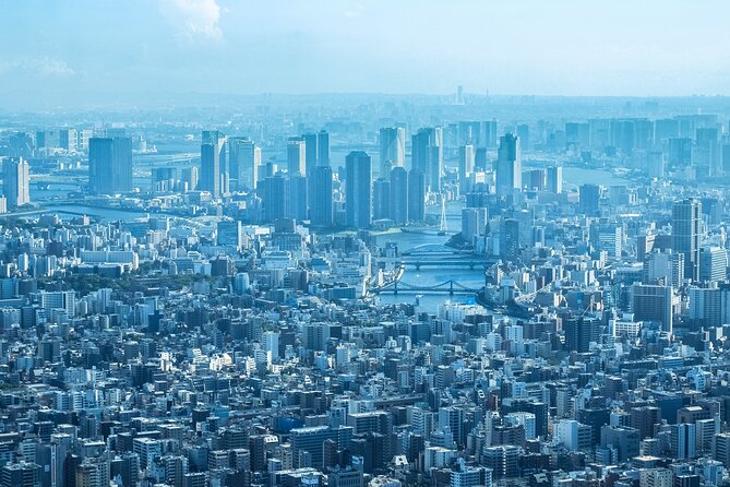 Full Day Tokyo Private Tour by Luxury Vehicle - Meiji Jingu: a forest break in the city