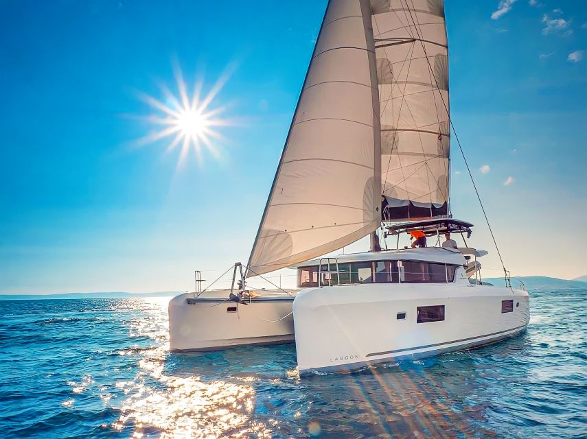 Funchal Bay: Dolphin & Whale Watch Luxury Catamaran Cruise - What the Funchal Bay cruise is really like