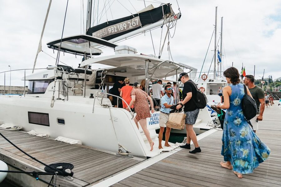 Funchal Bay: Dolphin & Whale Watch Luxury Catamaran Cruise - The wildlife stop, with patience required