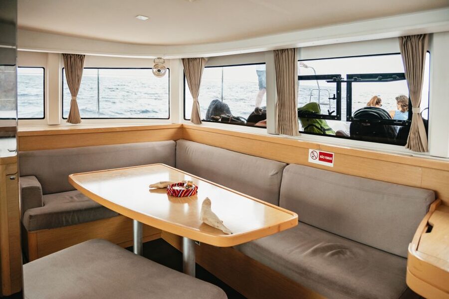 Funchal Bay: Dolphin & Whale Watch Luxury Catamaran Cruise - Is $47 good value?