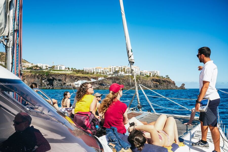 Funchal: Dolphin and Whale Watching by Luxury Catamaran - Should you book the Magic Dolphin catamaran?