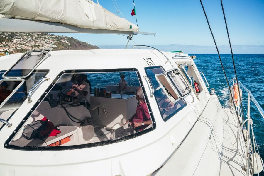 Funchal: Dolphin and Whale Watching by Luxury Catamaran - A relaxed departure from Funchal Marina