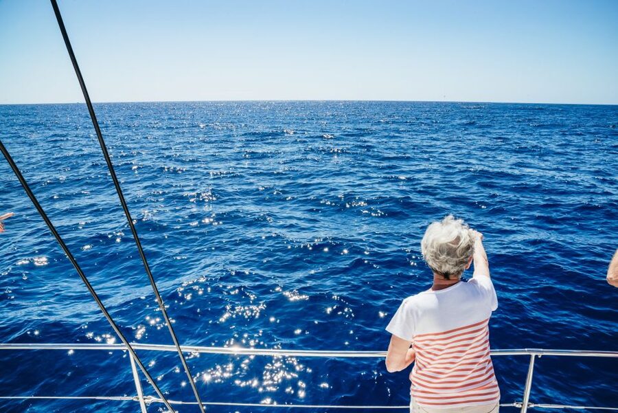 Funchal: Dolphin and Whale Watching by Luxury Catamaran - Cabo Girão from the water