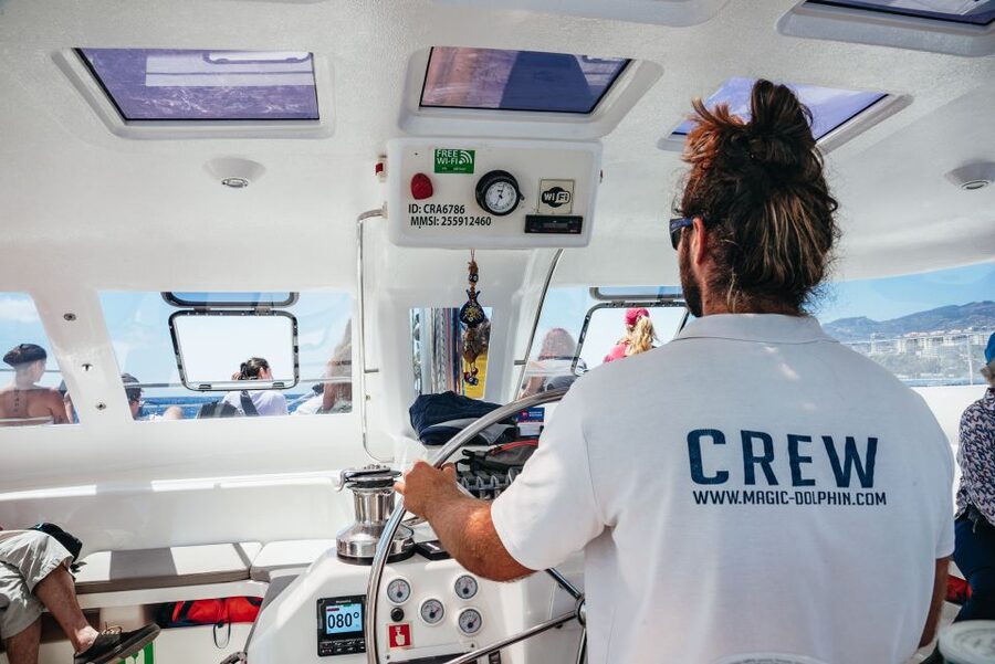 Funchal: Dolphin and Whale Watching by Luxury Catamaran - How small is the group, really?