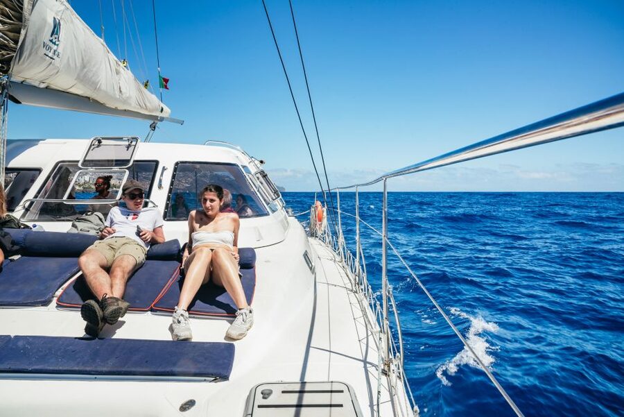 Funchal: Dolphin and Whale Watching by Luxury Catamaran - What the $47 price really covers
