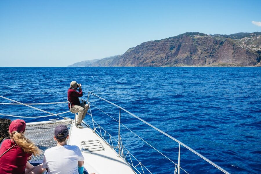 Funchal: Dolphin and Whale Watching by Luxury Catamaran - Practical advice for a smoother outing