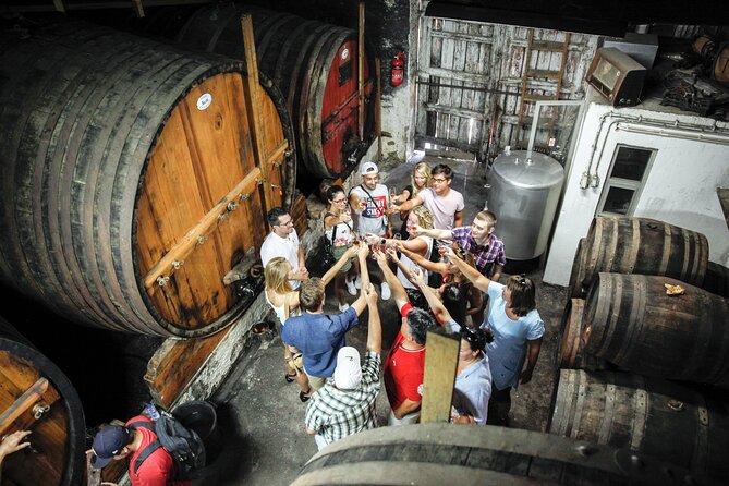 Genuine Douro Valley Tour: Visit 2 Wineries, Lunch & River Cruise - The return to Porto and the real cost of a long day