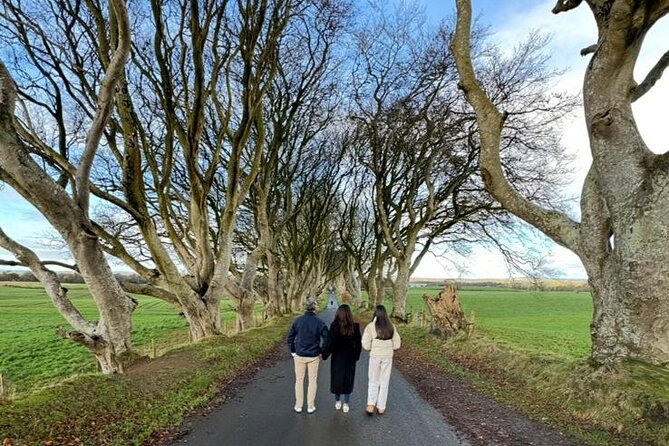 Giant’s Causeway, Luxury Private Tour from Belfast, 1-7 people - The Dark Hedges: a quick start beneath beech trees