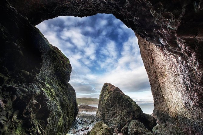 Giant's Causeway Tour from Belfast - Luxury Bus + Castles Tour - The Dark Hedges earns its long photo stop