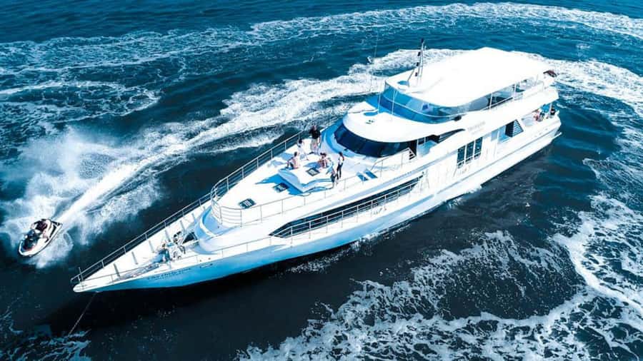 Gold Coast: Luxury Whale Watching Tour - Why this whale trip feels different