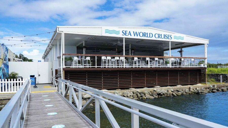 Gold Coast: Premium Whale Watching Cruise - Best timing, clothing, and camera advice