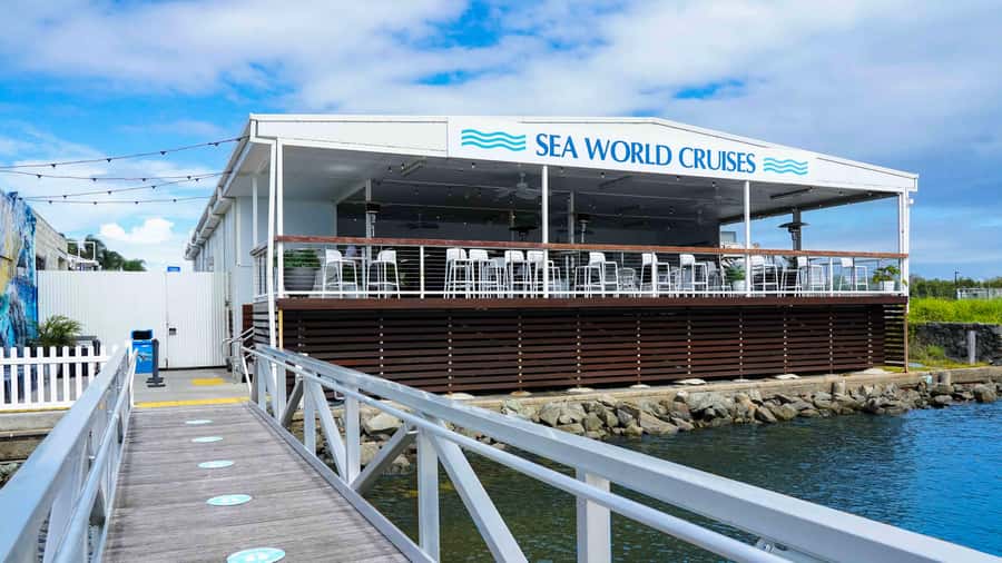 Gold Coast: Premium Whale Watching Cruise - Reaching the Humpback Highway