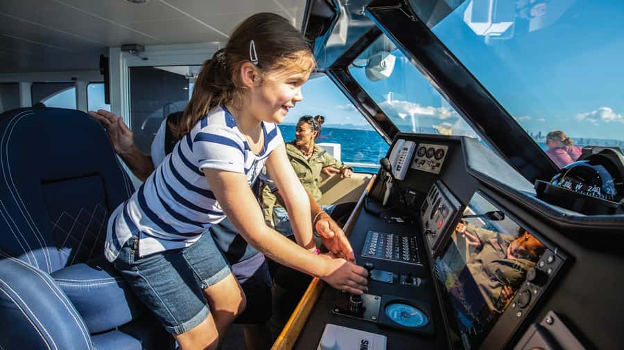 Gold Coast: Premium Whale Watching Cruise - What you may see from the viewing decks