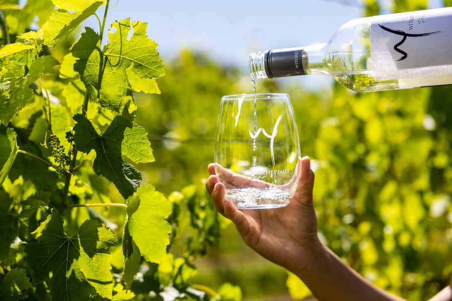 Gold Coast: Premium Wine Tour with Gourmet Lunch - Who should book this Mount Tamborine day?