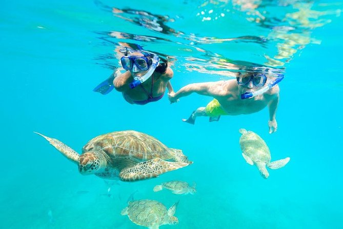 Good Times Exclusive Catamaran Cruise - A private day on Barbados’s west coast