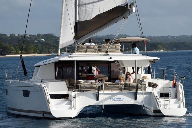 Good Times Too Premium Catamaran Lunch Cruise - Why the turtle stop is the heart of the day