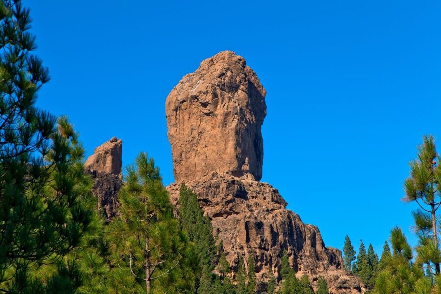 Gran Canaria: Full-Day VIP Tour by Bus - Why this bus tour works for a first look at Gran Canaria