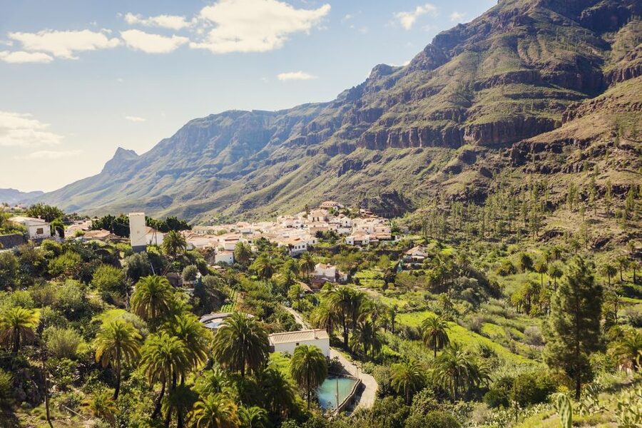 Gran Canaria: Full-Day VIP Tour by Bus - Firgas and the green north