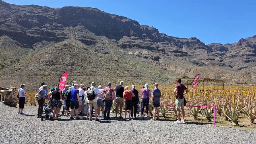 Gran Canaria: Premium Safari 4x4 Tour with Local Guide - Fataga and the Valley of the Thousand Palms
