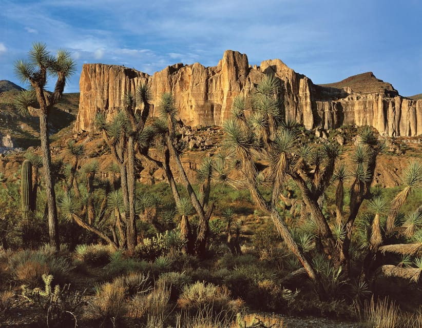 Grand Canyon Hoover Dam and Joshua Tree VIP Small Group Tour - Eagle Point and the Skywalk decision