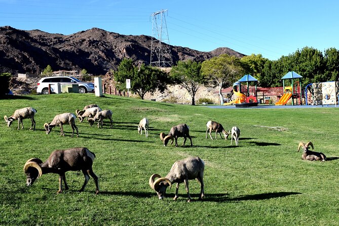 Grand Canyon West plus Hoover Dam VIP Day Tour from Las Vegas - What the guides add to the day