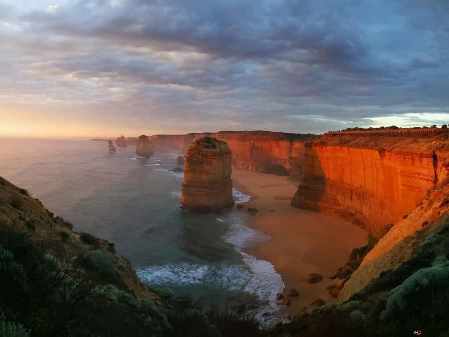 Great Ocean Road Tour PRIVATE LUXURY-FREE entry,hotel pickup - Kennet River and the wildlife stops