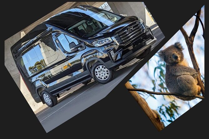 Great Ocean Road Tour Reverse –SML GRP-DLUX Mini Bus Hotel Pickup - Kennett River is your best wildlife chance