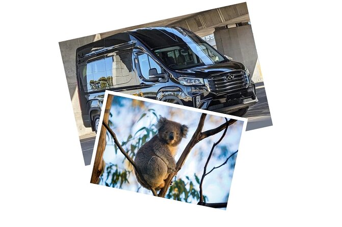 Great Ocean Road Tour Reverse –SML GRP-DLUX Mini Bus Hotel Pickup - The Twelve Apostles give you the big moment early