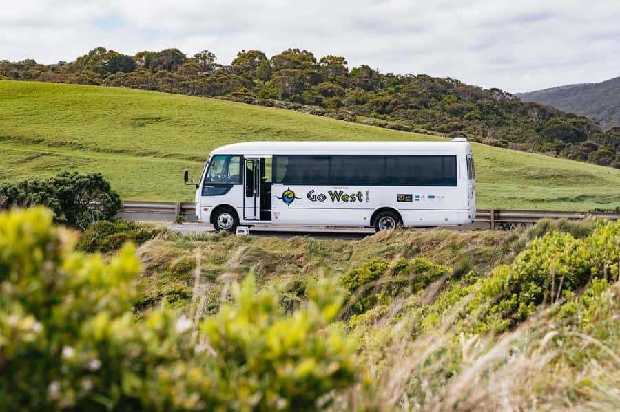 Great Ocean Road Tour w/ Deluxe Minibus & Top-Rated Guide - Kennett River and the chance to see wild koalas