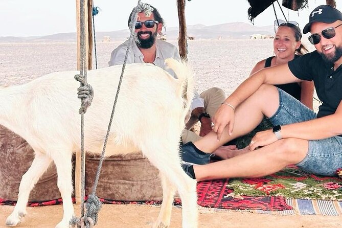 GROUP TOUR - 1 night 2 Day LUXURY Desert TRIP from FES to FES - Ziz Canyon and the changing eastern Morocco