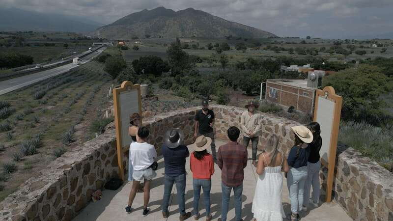 Guadalajara: Premium Tequila Tour with Tastings and Pairings - Why this Guadalajara tequila tour works