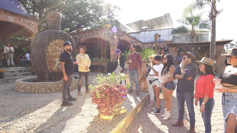 Guadalajara: Premium Tequila Tour with Tastings and Pairings - Start at the agave fields near Amatitán