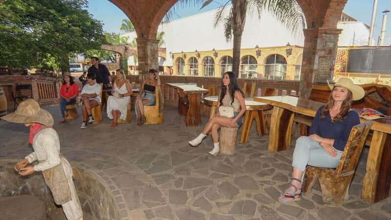 Guadalajara: Premium Tequila Tour with Tastings and Pairings - Transportation, timing, and meeting details