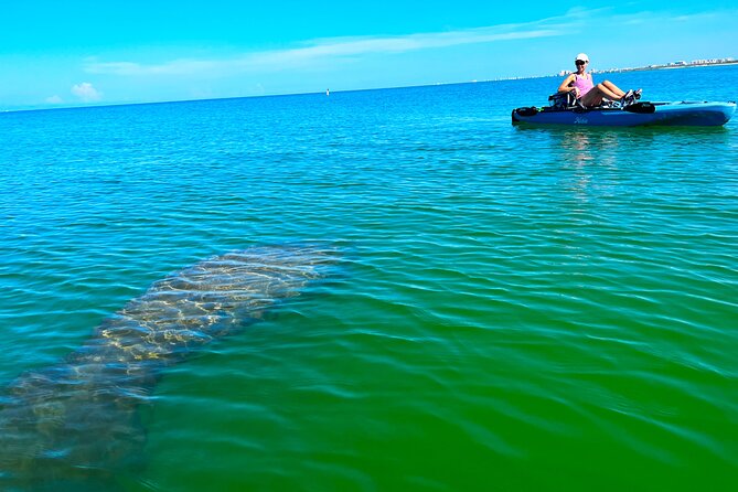 Guided Hobie Kayak EcoTour: Premium Eco Experience Bonita Springs - Key points before you book