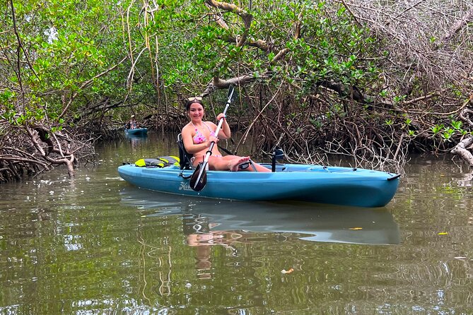 Guided Hobie Kayak EcoTour: Premium Eco Experience Bonita Springs - The guides and the tone of the outing