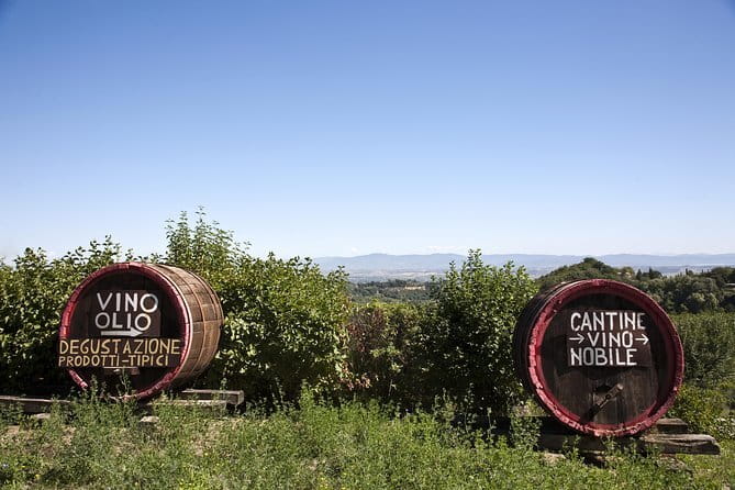 Half Day Chianti Wine Tour with Private Luxury Van - What the private price really buys you