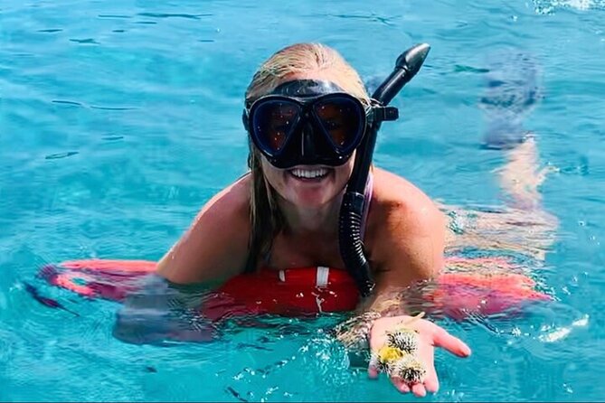 Half Day Luxury Catamaran Turtle Snorkel And Beach - Why this four-hour catamaran works so well