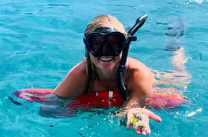 Half Day Luxury Catamaran Turtle Snorkel And Beach - Booking value and cancellation details