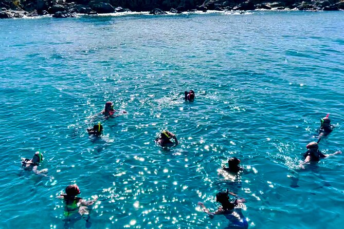 Half Day Luxury Catamaran Turtle Snorkel And Beach - Turtle Cove and the marine life around Buck Island